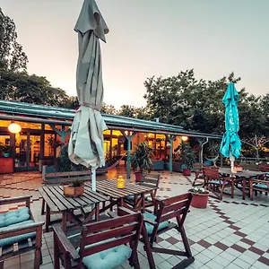  Hostel Island